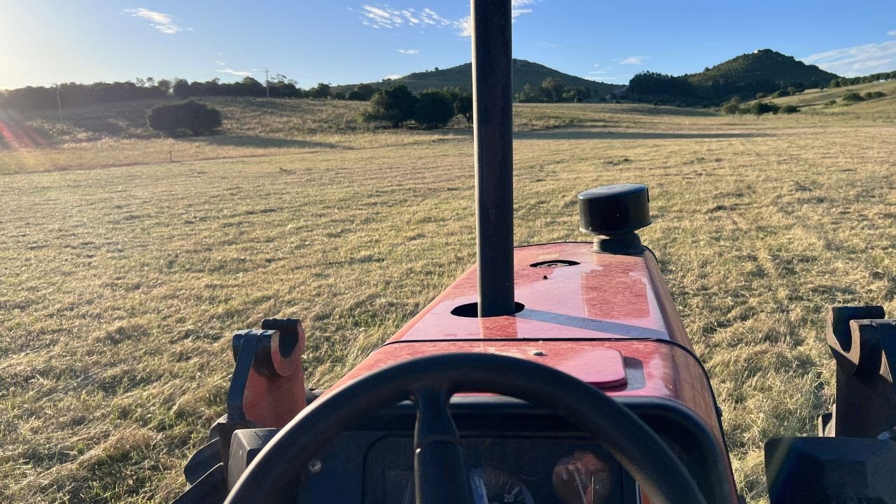 What I did this week (Week 69)