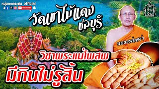 วัดว้าวว้าว | วัดเขาไม้แดง | ชลบุรี