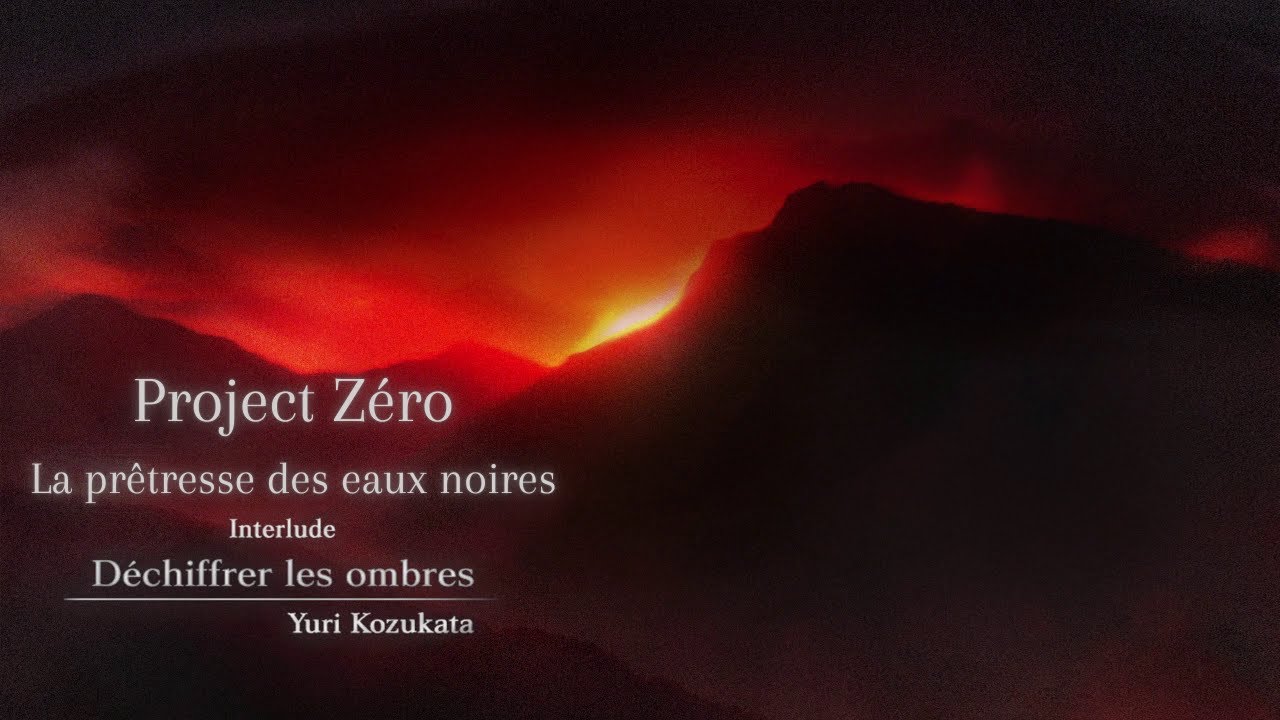 Jeu Project Zero (Projet Zéro) Pour PlayStation 2 – Version PAL, En Très Bon état, Boîte Et Notice Incluses