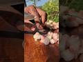 Pure Knife Cutting ASMR 🔪So Relaxing Vegetable CuttingSharp Knife Sounds | ASMR#asmr #shorts #viral
