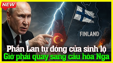 Nga và Phần Lan trước bước ngoặt: Helsinki cầu hoà, sai lầm đẩy kinh tế sụp đổ