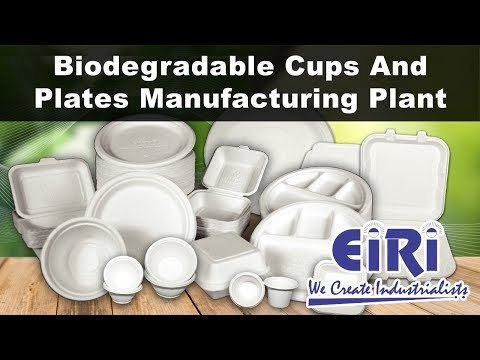 sugarcane cup manufacturers