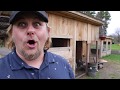Save YOUR CHICKENS from Raccoons and Skunk! Learn how in just two fast minutes!