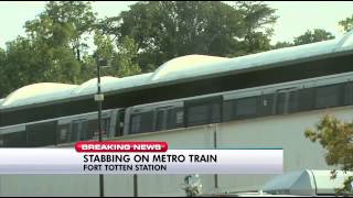 Transgender teen stabbed on Metro's Green Line
