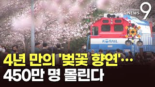 4년 만에 돌아온 진해 군항제…벚꽃 개화 다음주 절정