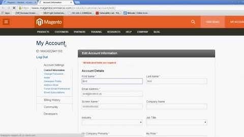 Ebay Inc Magento Bug Bounty - Filter Bypass & Persistent Profile Vulnerability