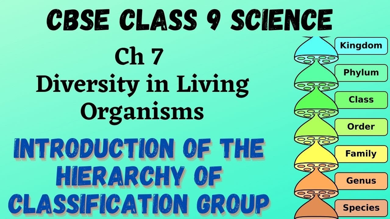 Introduction of The Hierarchy of Classification Groups | CBSE Class 9 ...