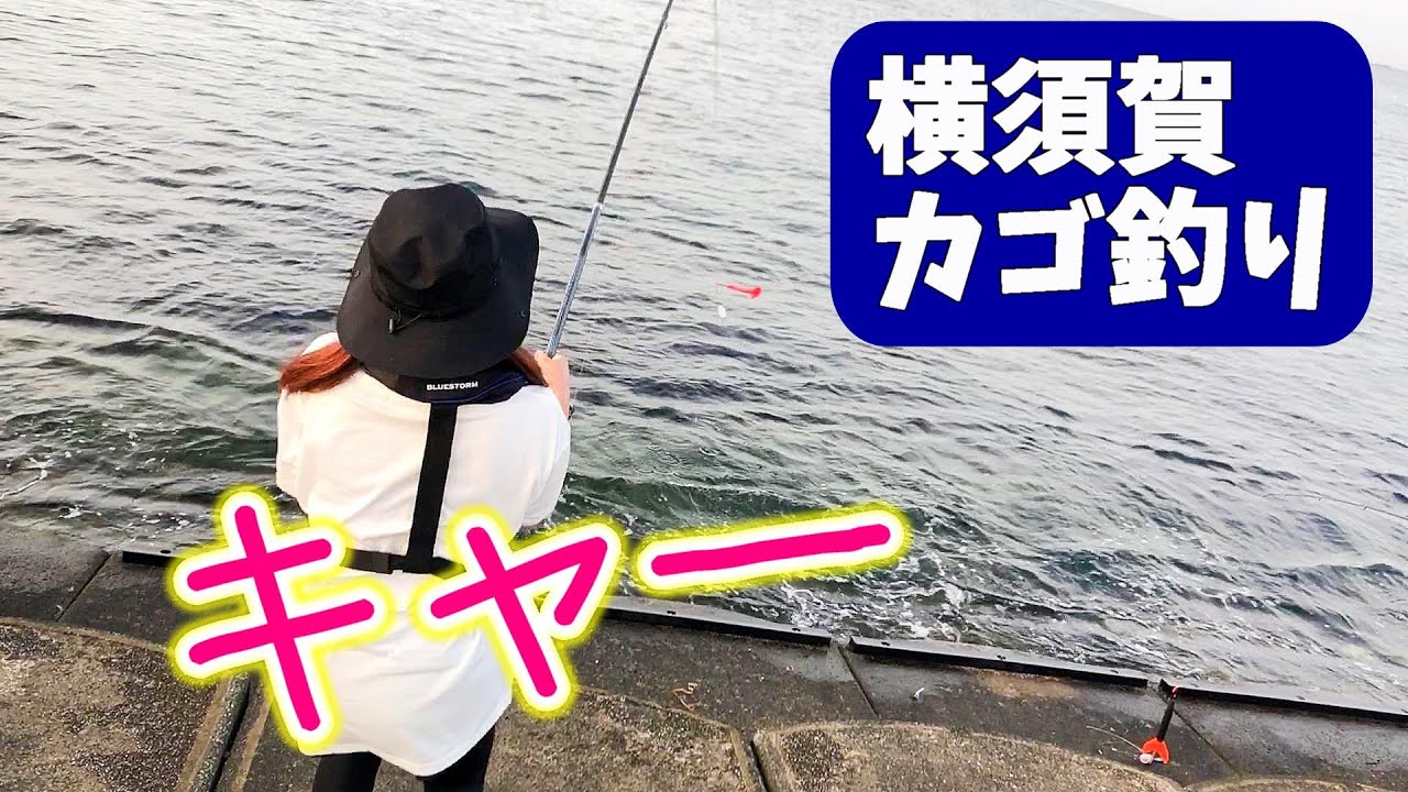 【横須賀うみかぜ公園】釣りガールが遠投カゴ釣りで大物GET！？