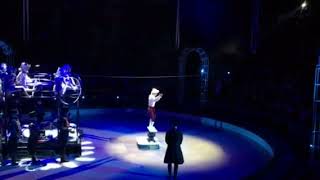 rolla rolla Herczeg David Ludas Matyi