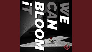 bloom