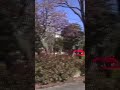 消防指揮車両 緊急走行!