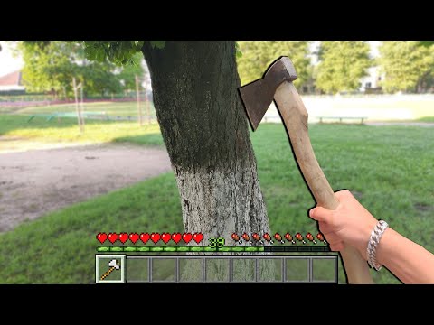 Pov: you can't play only in minecraft