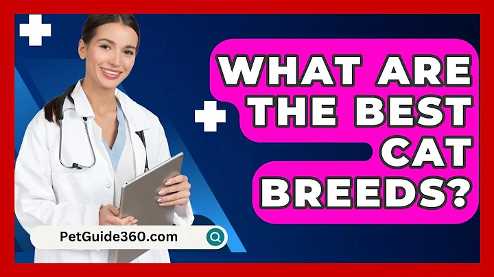 What Are The Best Cat Breeds? - PetGuide360.com