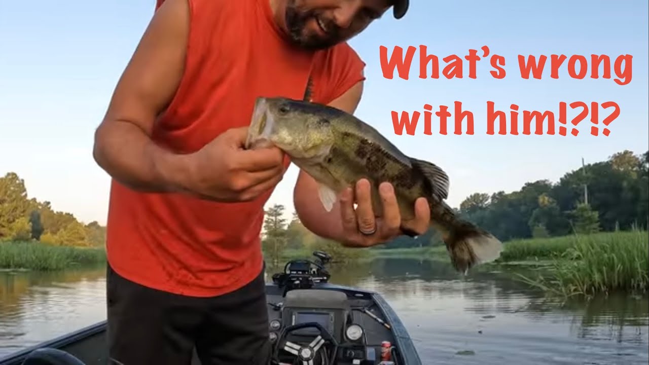 Fishing has been WEIRD!!! – Lake Millwood