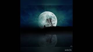 RAIKAHO - Ночь с луной танцует вальс