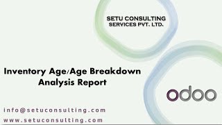 Inventory Age/Age Breakdown Analysis Reports