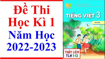 Tiếng Việt Lớp 3 Đề Thi Học Kì 1 | Năm Học 2022 - 2023 | Kết Nối Tri Thức