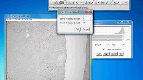 ImageJ數細胞方法.avi