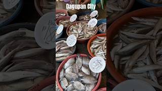 Seafood Prices In Dagupan City  Pangasinan Fish Market philippines