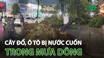 Cây đổ, ô tô bị nước cuốn trong mưa dông | VTC14