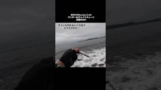 ベタ凪でヒラスズキ!ワンダー80ウェイトチューン #brovis #seabass #フィッシング #ブロビス #ランカーシーバス