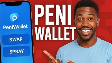 PeniWallet Tutorial 2025: How to Use Swap & Spray + What Wikicat Holders MUST Know