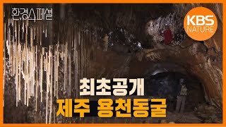 땅 속 자연사박물관! 환경스페셜 ‘최초보고, 용천동굴 20만 년의 비밀’/ KBS 20100908 방송