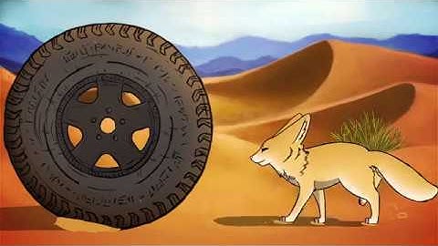 The Nomad Fox Company Intro