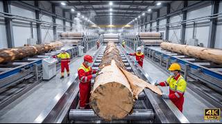 Inside America’s Giant Paper Mills – How Millions of Tons Are Made Daily (Full Process)