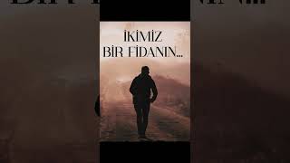 Ikimiz Bir Fidanin Anatolian Rock Cover