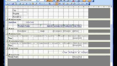 Microsoft Access ® 2003 Sales Invoice: 3 Report