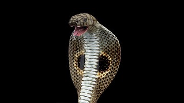 snake 3d modeling #maya #3drenderings #texturing #3dmodeling #mayamodeling #3dconcept #arnoldrender