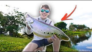 Catching The CRAZIEST Looking Fish Lurking in Florida Ditches (Ft. Paul Cuffaro)