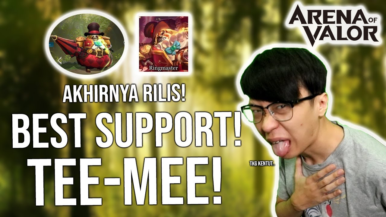Hero Support Paling EMEJING sudah RILIS! TEEMEE the BEST SUPPORT! - Arena of Valor
