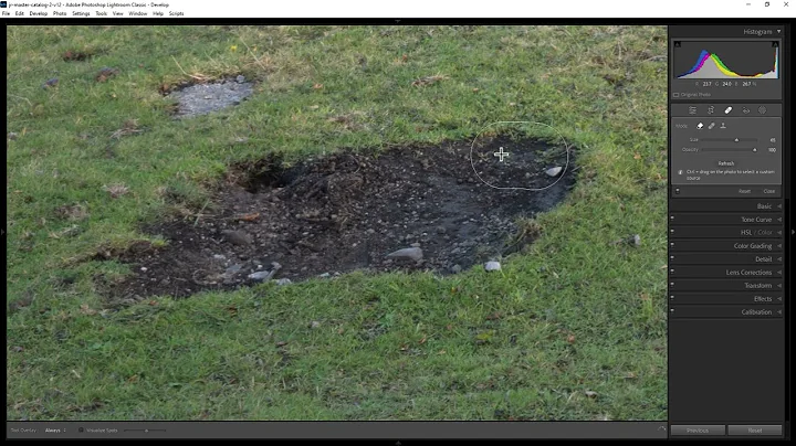 How do you remove an object from a photo in Lightroom Classic?