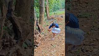 the method is quite perfect #videoshort #nature