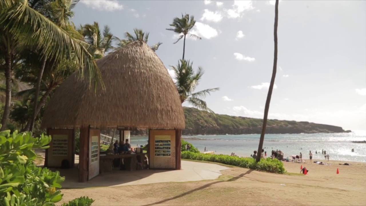 Hawaii Sea Grant Video