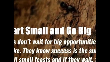 LIFE LESSONS WE CAN LEARN FROM ANTS