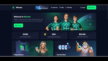 WARNING! Wexsax Might Be a Scam! Full Review & Investigation of Wexsax.com