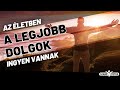 Az életben a legjobb dolgok ingyen vannak