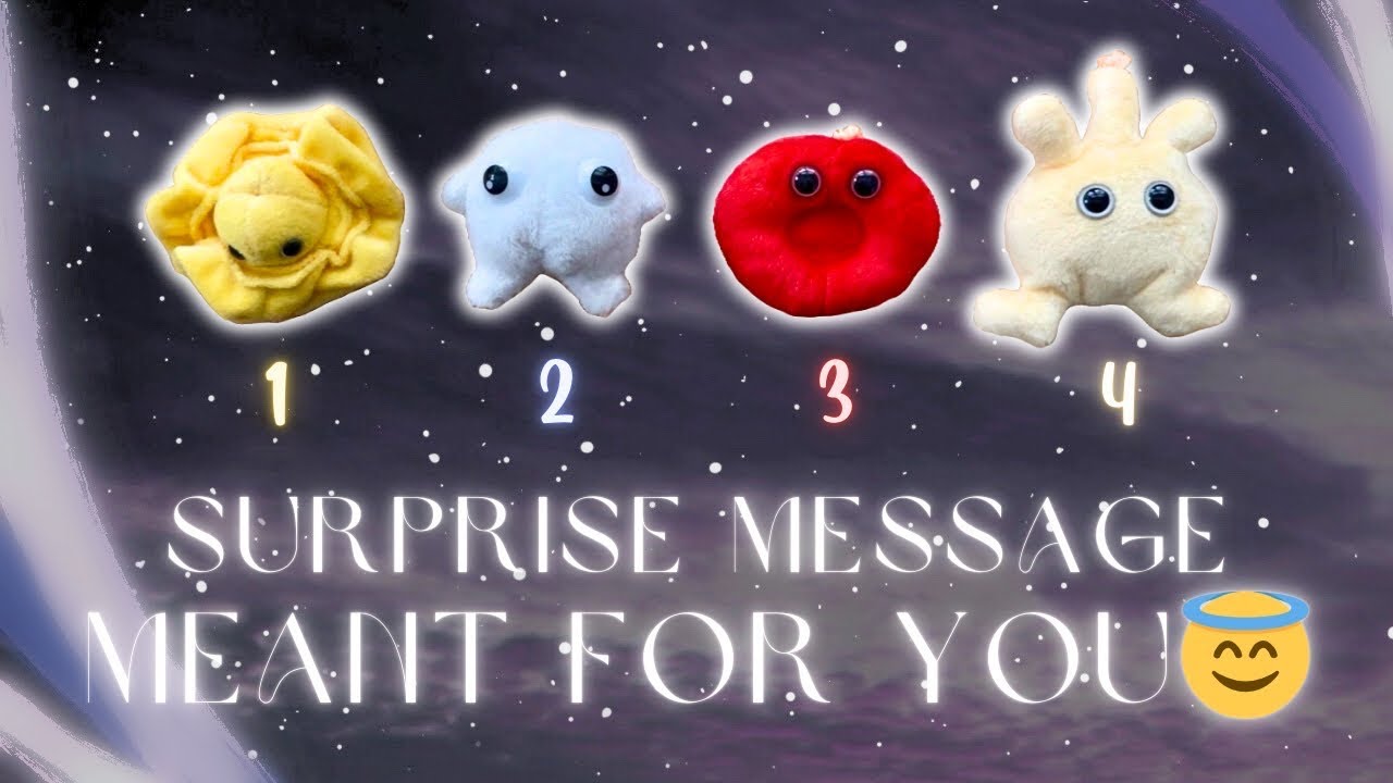 This Mystery Message Was Meant For You❤️✨ Pick a Card Timeless Tarot Reading