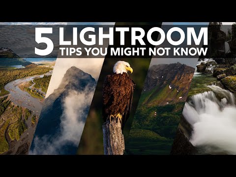 5 Lightroom Tips You Might Not Know