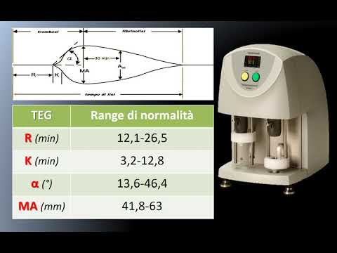 Video: Yleiskatsaus Tärkeimpiin Globaaleihin Hyytymismäärityksiin: Trombelastografia, Trombiinin Muodostumistesti Ja Hyytymäaaltomuotoanalyysi