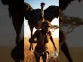 Life 3 7 Million Years Ago  Did Hominins Fight This Giant Ostrich