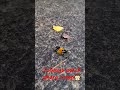 the little things