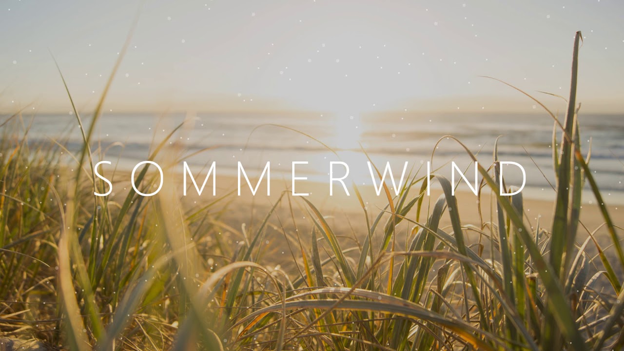 Sommerwind