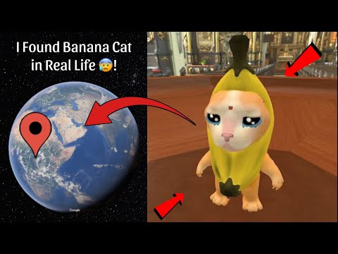 I Found The Banana Cat Sculpture Caught On Google Earth and Google Maps 🤯!