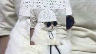 Download lagu opick - ya maulana (speed up)