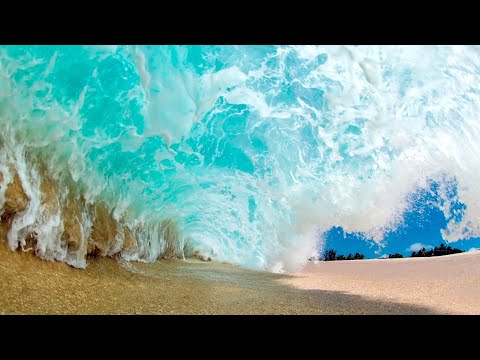 Что? Откуда? Почему? О водорослях, фотохудожнике Clark Little и певце Jung Kook