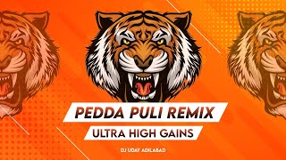 PEDDA PULI || ULTRA HIGH GAIN || ( COMPETITION MIX ) @ULTRA_HIGH_GAINS1